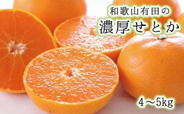 【高級】和歌山有田の濃厚せとか　約4～5kg　※2025年2月中旬～3月上旬順次発送予定【ard007B】