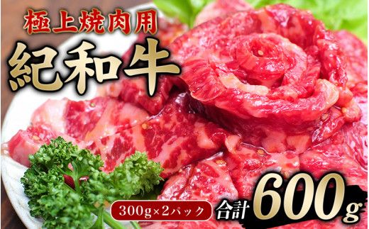 極上紀和牛タレ仕込味付焼肉 300g×2パック 合計600g【冷凍】 / 肉 牛肉 牛 小分け 味 焼き肉 焼肉 【tnk205】