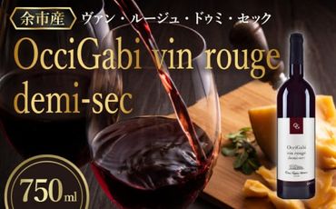 【 OcciGabi Winery 】 ヴァン・ルージュ・ドゥミ・セック 【 余市のワイン 】 オチガビワイナリー ワイン 赤ワイン 人気ワイン 余市のワイン 北海道のワイン 日本のワイン 国産ワイン