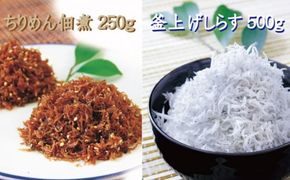 釜上げしらすとちりめんのセット 台風セットA（釜揚げしらす500g+ちりめん佃煮250g） / しらす シラス 釜揚げ ちりめん 佃煮【ojs003-1】