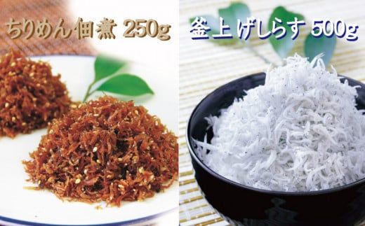 釜上げしらすとちりめんのセット 台風セットA（釜揚げしらす500g+ちりめん佃煮250g） / しらす シラス 釜揚げ ちりめん 佃煮【ojs003-1】