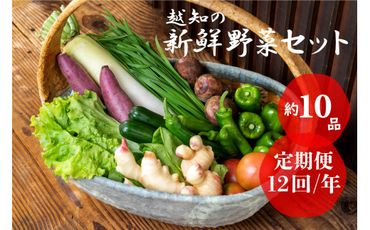 越知産市の季節の野菜セット(年12回発送)　産地直送　旬野菜