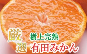 厳選　完熟有田みかん2kg+60g（傷み補償分）【光センサー選別】＜11月上旬より順次発送予定＞【ikd005B】