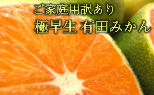 【初秋の美味】有田育ちのご家庭用訳あり濃厚極早生有田みかん　約10kg【サイズ混合】【2024年10月中旬～10月下旬頃発送】【ard053A】