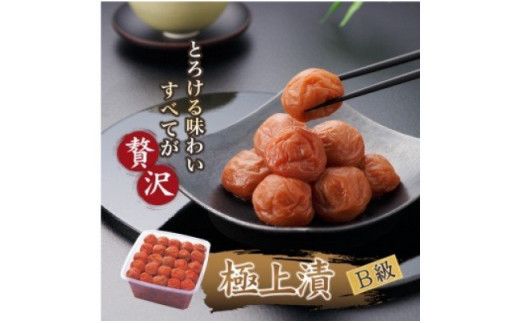 徳用 紀州極上漬1.8kg[紀の里食品] [kns009]