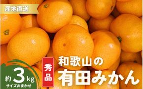 【11月発送】秀品 有田みかん 和歌山県産  S～Lサイズ 大きさお任せ 3kg / みかん フルーツ 果物 くだもの 有田みかん 蜜柑 柑橘【ktn001A-11】