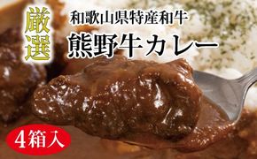 特選黒毛和牛 熊野牛カレー ４箱 【mtf102】