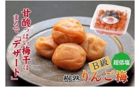 徳用　りんご梅１．５ｋｇ【紀の里食品】【kns013A】