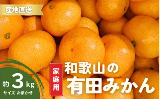 【12月発送】ご家庭用 有田みかん 和歌山 S～Lサイズ 大きさお任せ 3kg / みかん フルーツ 果物 くだもの 有田みかん 蜜柑 柑橘【ktn006A-12】