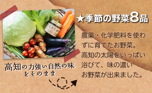 農薬不使用のお野菜8品とにんにく味噌のセット pr-0011