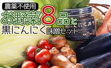 農薬不使用のお野菜8品と黒にんにく味噌のセット pr-0012