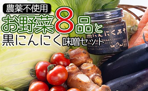 農薬不使用のお野菜8品と黒にんにく味噌のセット pr-0012