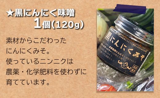 農薬不使用のお野菜8品と黒にんにく味噌のセット pr-0012