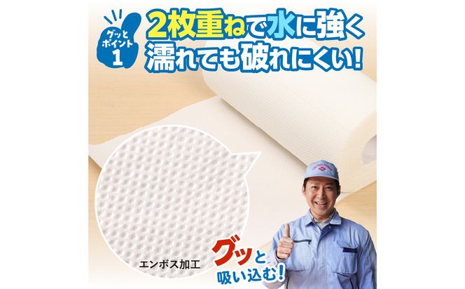 【R14030】グッと吸い込むキッチンタオル100カット（4ロール×12パック）