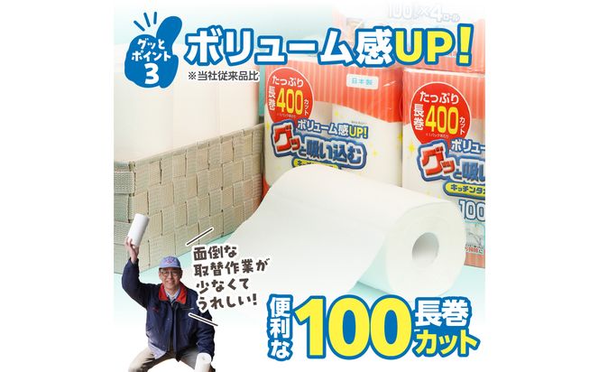 【R14030】グッと吸い込むキッチンタオル100カット（4ロール×12パック）