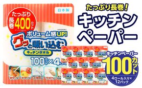 【R14030】グッと吸い込むキッチンタオル100カット（4ロール×12パック）