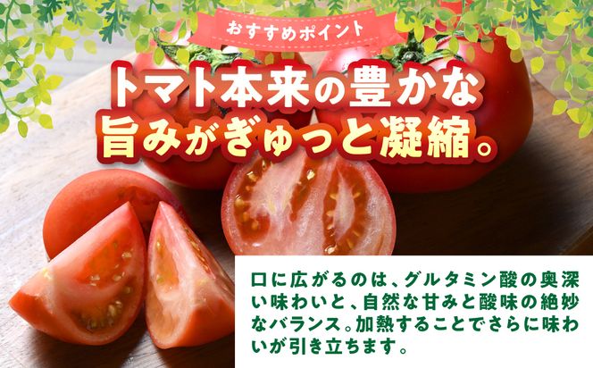 訳あり おっぺしゃんトマト 4kg トマト とまと 野菜 やさい 旬の野菜 地元産野菜 特産品 お取り寄せ 家庭用 食卓