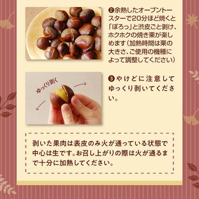 【期間限定】低温貯蔵 東美濃ぽろたん（生栗）東美濃農業協同組合【発送日10月末～12月上旬】 F4N-1960