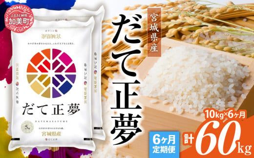 【定期便6回】令和6年産 宮城県産 だて正夢 10kg(5kg×2）×6回  [ カメイ 宮城県 加美町 ]  お米 こめ コメ 精米 白米 だてまさむね | km00015-r6-10kg-6