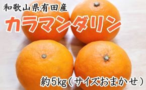 【春みかん】和歌山有田産カラマンダリン約5kg(サイズおまかせ)※2026年4月上旬～2026年5月中旬頃に順次発送【tecj1022】