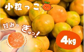 温州みかん 「小粒っこ」 4g ※箱込み (極早生・早生・中生・晩稲)【2S～3Sサイズおまかせ】【2025年10月中旬～2026年1月下旬までに順次発送】＜味好農園＞/温州 みかん 小玉 蜜柑 柑橘