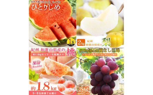 【全4回】紀州和歌山産旬のフルーツ定期便 (スイカ・桃・巨峰・梨) / すいか スイカ もも 桃 白桃 巨峰 葡萄 ぶどう なし 梨 ナシ 洋ナシ 和梨 果物 くだもの フルーツ フルーツ定期便 和歌