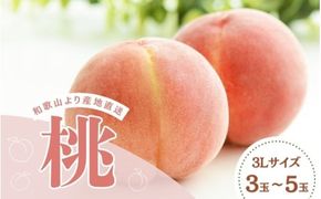 和歌山県産の桃 3Lサイズ(3玉～5玉)【2025年6月中旬頃から8月上旬頃順次発送予定】 / 和歌山 もも 桃 甘い ギフト 贈り物 プレゼント 夏ギフト 果物 フルーツ 人気 産地直送 和歌山県 