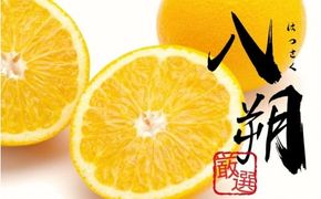 ＜1月より発送＞【先行予約】厳選はっさく1kg+250g（傷み補償分）【八朔みかん】【ikd220】