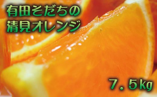 【2025年2月下旬～3月下旬順次発送予定】有田育ちの完熟清見オレンジ(ご家庭用)　約7.5kg【ard018A】