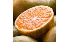 プレミアム 有田 みかん ( ゆら早生 )  2.5kg+250g（傷み補償分） / 有田みかん 甘い 柑橘 フルーツ 果物 和歌山 ※2026年10月上旬〜11月中旬頃に順次発送予定 ※北海道・沖縄・離島への配送不可【ikd003-prem-2d5A】