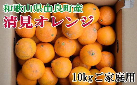【訳あり・ご家庭用】和歌山由良町産の濃厚清見オレンジ約10kg　※2026年2月中旬～2026年2月下旬頃に発送予定（お届け日指定不可）【tec877A】