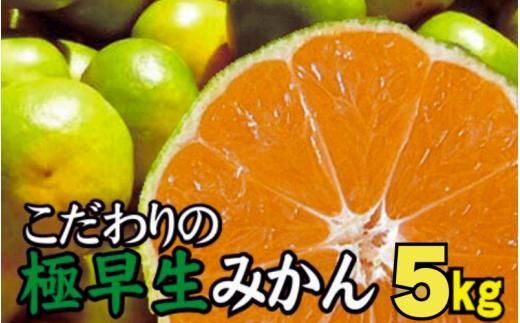 【2024年秋頃発送予約分】＼光センサー選別／ 【農家直送】こだわりの極早生みかん 約5kg 【数量限定】 有機質肥料100% サイズ混合 ※2024年9月下旬より順次発送予定（お届け日指定不可）【n