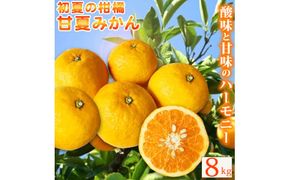 【ご家庭用訳あり】紀州有田産 すっきり爽やか 甘夏みかん 8kg  ※2026年3月上旬頃〜2026年3月下旬頃に順次発送予定 / 甘夏 あまなつ みかん ミカン 蜜柑 温州みかん【uot847】