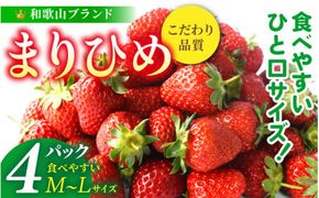 【先行予約】まりひめイチゴ4パック 食べやすいひと口サイズ M～L（15粒～20粒入×4パック）/ いちご 苺 まりひめ 和歌山 フルーツ ※2027年1月中旬～3月下旬頃に順次発送（お届け日指定不可） ※離島への配送不可 【kgr500-ml-4】