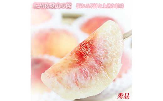 秀品　紀州和歌山産の桃　3玉　化粧箱入　※2026年6月下旬頃〜2026年8月上旬頃順次発送（お届け日指定不可）【uot750】