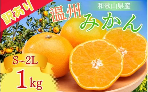 [和歌山県産]訳あり 温州みかん 1kg お試しに♪ (早生・中生・晩稲)[S〜2Lサイズおまかせ][2025年10月中旬〜2026年1月中旬頃までに順次発送][味好農園]/ 「おてんば娘」みかん