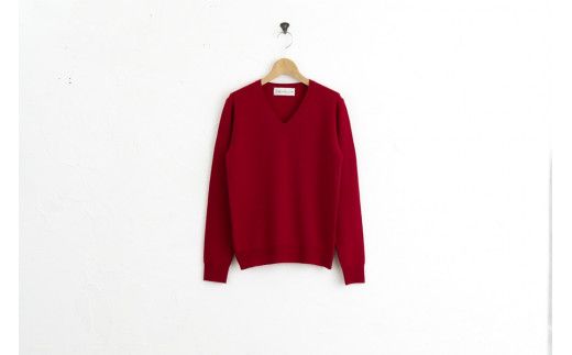 Vネックプルオーバー 度詰(レッド )男性用サイズ:LL(46)≪白田のカシミヤ≫