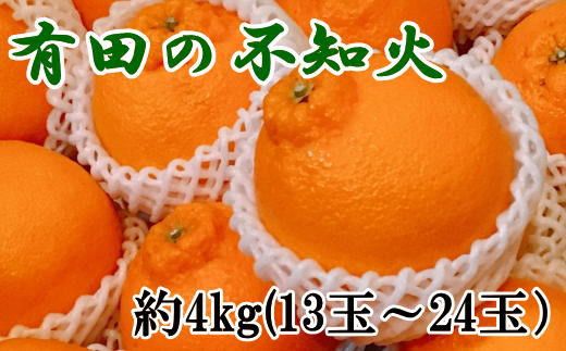 【濃厚】有田の不知火約4kg（13玉～24玉おまかせ） ※2025年2月上旬～2025年3月下旬頃に順次発送予定（日付指定不可）【tec863A】