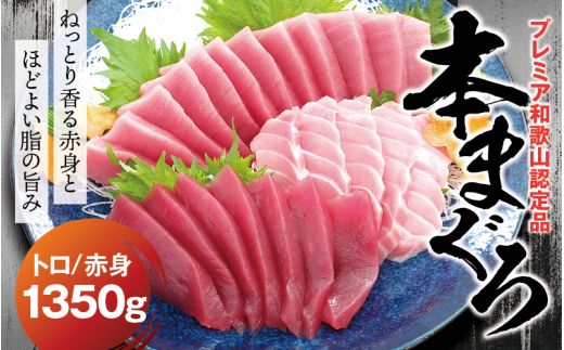 本マグロ（養殖）トロ＆赤身セット 1,350g 【12月発送】【配達日指定不可】高級 クロマグロ  中トロ 中とろ まぐろ マグロ 鮪 刺身 赤身 柵 本マグロ 本鮪【nks111B-12】