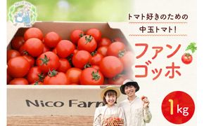 【先行予約：2026年7月下旬頃より発送】NicoFarm ファンゴッホ（中玉トマト）1Kg_Y124-0017