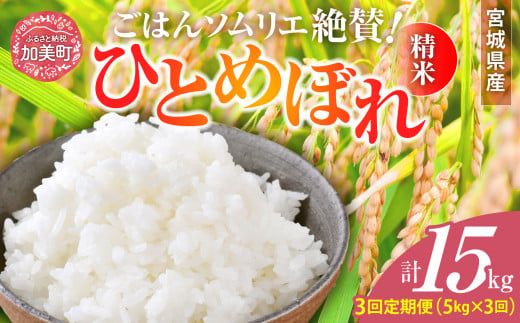 【3回定期便】 精米 令和6年産 宮城県産ひとめぼれ 計15kg (5kg×3回) [菅原商店 宮城県 加美町 ]  | sg00001-r601-5kg-3
