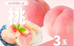 和歌山県産の桃 (3玉)【2025年6月中旬頃～8月上旬頃順次発送予定】 / 和歌山 もも 桃 甘い ギフト 贈り物 プレゼント 夏ギフト 果物 フルーツ 人気 産地直送 和歌山県【mat108】