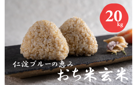 令和8年産　新米　仁淀ブルーの恵み「おち米」（玄米）20kg