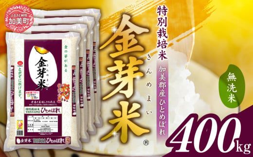 米 無洗米 金芽米 令和6年 宮城県 加美産 ひとめぼれ 特別栽培米 400kg （ 5kg × 80袋 ） [ 宮城県 加美町 ]  お米 こめ コメ 精米 白米 玄米 きんめまい おすすめ 新米 