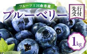 【先行予約：2026年8月上旬以降発送】フルーツ王国余市産 生ブルーベリー 1Kg【ニトリ観光果樹園】_Y074-0160