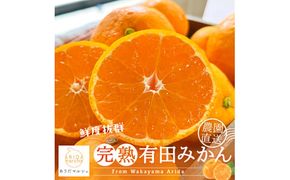 農園直送!完熟有田みかん【サイズ混合】　3kg＋200g【12月発送】【ard002C-12】