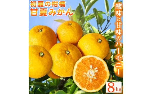 [ご家庭用訳あり]紀州有田産 すっきり爽やか 甘夏みかん 8kg ※2026年3月上旬頃〜2026年3月下旬頃に順次発送予定[uot847]