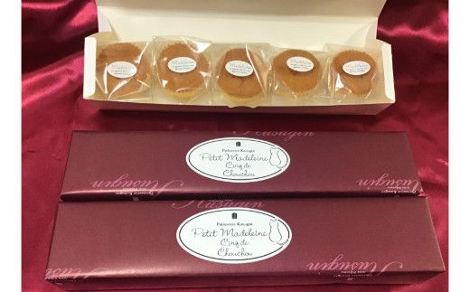 979.プティマドレーヌ　ｃinq de chouchou（サンクドシュシュ）(A979-2) 