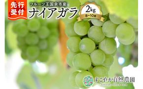 2025年発送【先行予約】令和7年産ぶどう(ナイアガラ)2kg箱8～10房_Y139-0004