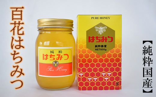 【純粋国産】和歌山県産百花はちみつ600g ※2025年7月中旬より順次発送【tec507A】